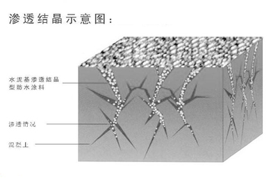 河南周口渗透结晶防水涂料(水泥基)厂家直销价