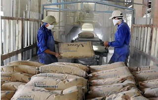 越南国内猛增5万家水泥工厂